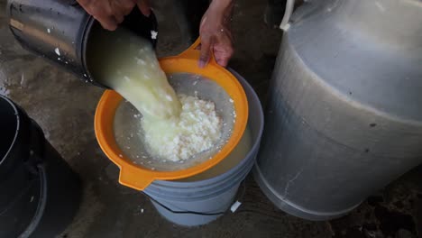 straining curdled milk for cheese making on a rustic farm floor setting