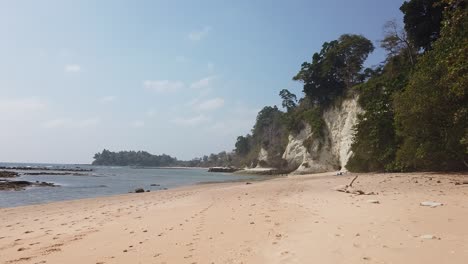 typhoon evidence of washed up trees and footprints of a small number of explorers mark the golden sand of this andaman beach with chalky cliffs and remote location