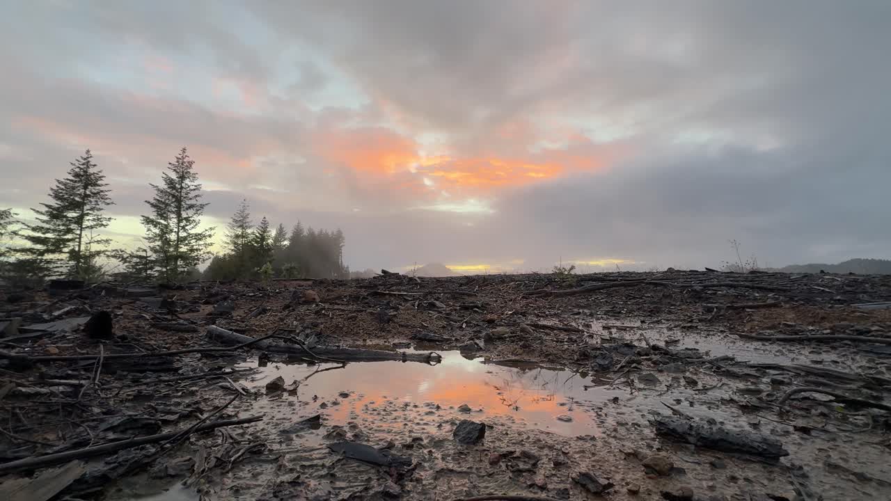Beautiful sunrise reflected in a puddle