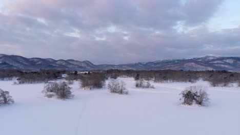 slow aerial forward over small islands on frozen lake in onuma quasi national park