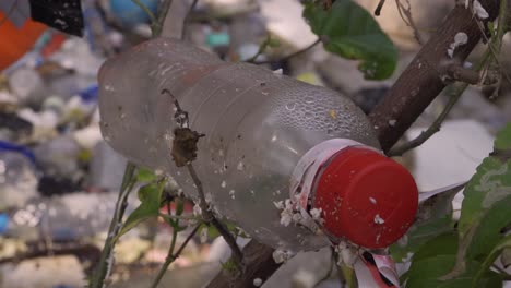 Plastikflaschen,-Die-Auf-Einem-Baum-Stecken,-Verblassten-Gemischten-Müllhintergrund,-Nahaufnahme-4k-Asien,-Thailand,-Gefilmt-Mit-Sony-Ax700