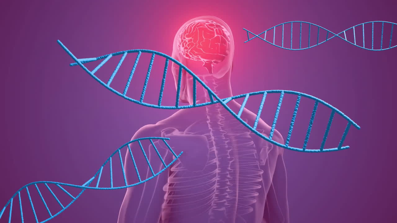 Animation of dna strands over digital human