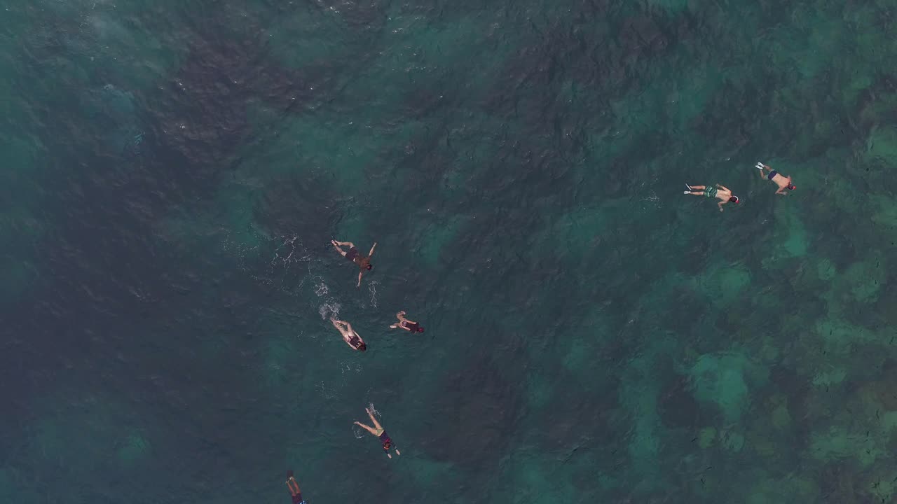 은 파란 바다에서 스노클링하는 사람들