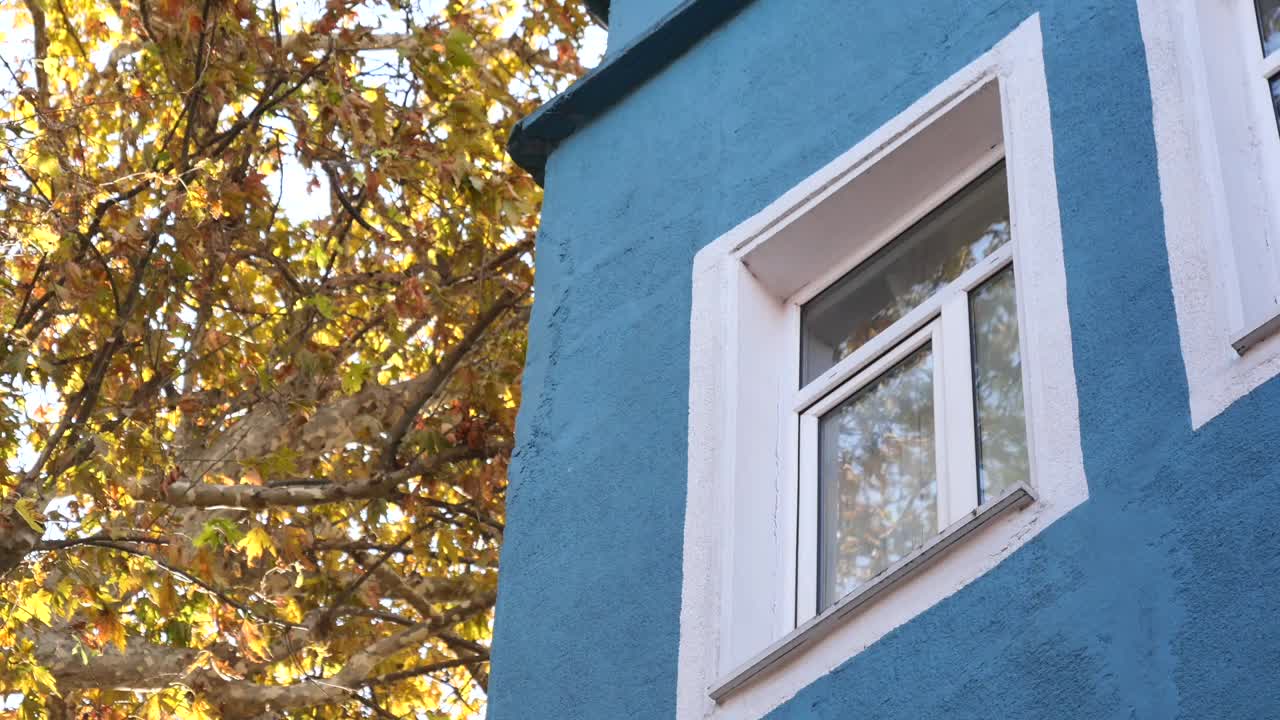 edificio azul con hojas de otoño