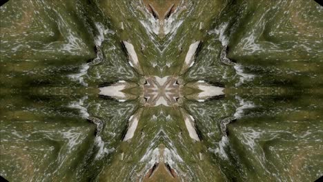 kaleidoscope from nature shots, wissahickon creek