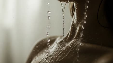 exploring the captivating beauty of water droplets cascading down the silky skin in a softly lit environment, emphasizing sensuality and elegance