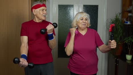 una pareja de ancianos haciendo ejercicio juntos en casa.