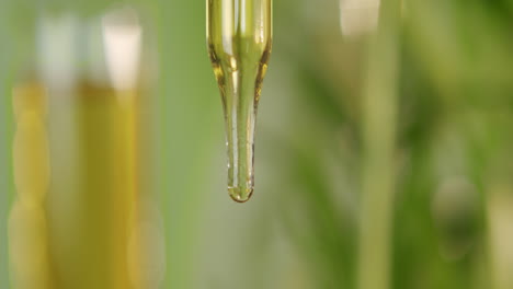 gotero de pipeta con líquido verde amarillo y un fondo verde borroso