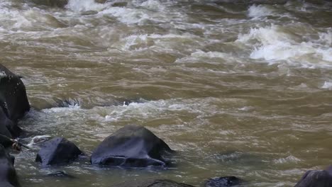 water flows in the river_ slow motion