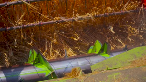 Close-up-view-on-the-reaper-of-a-combine-harvester-during-the-barley-harvest,-4K