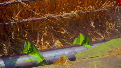 vista de cerca de la cosechadora de una cosechadora durante la cosecha de cebada, 4k