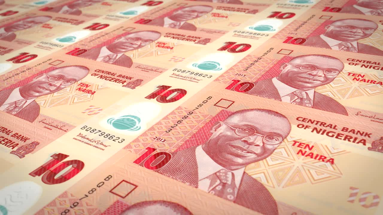 나이지리아 중앙 은행의 10 나이라 지폐 시리즈, 스크린에 굴러, 세계 동전, 현금, 루프