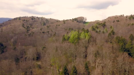 Arboretum-of-Aubonne,-Switzerland.-Aerial-panoramic-view