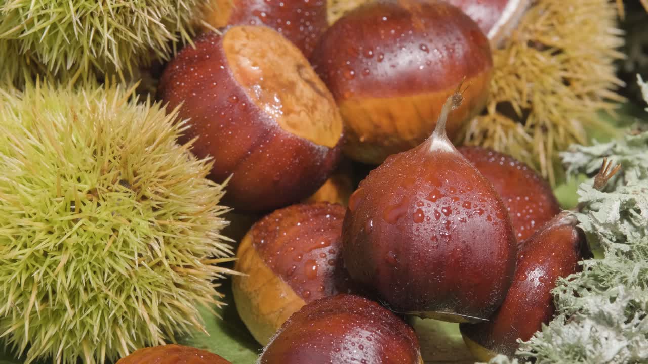 Group of peeled and unpeeled chestnuts with water droplets on their surface