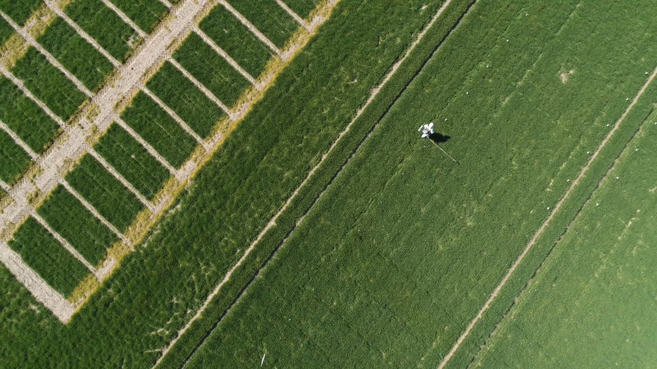 investigador agrícola rociado con herbicidas o pesticidas 3