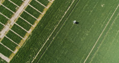 investigador agrícola rociado con herbicidas o pesticidas 3