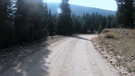 コロラド州の山道で車を運転し森を通って太陽の光を放つ