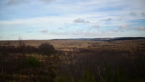 Beautiful-horizon-of-moorland-on-sunny-day-in-timelapse-shot,-Belgium