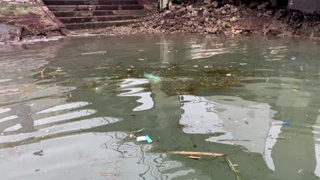 río tajo contaminado con plástico y desechos médicos