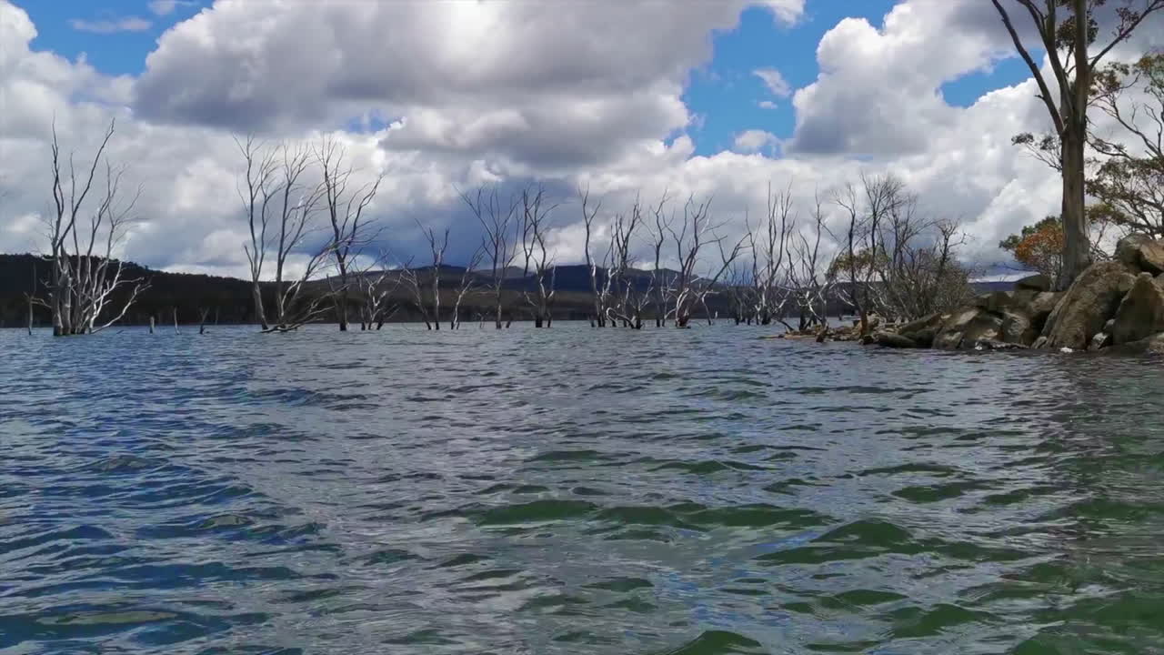 The beauty of the island’s pristine wilderness from a unique perspective. As the boat glides across the calm, reflective waters, viewers can see towering trees and dense forests lining the shore