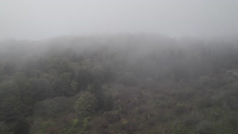 Fängt-Die-Bezaubernde-Atmosphäre-Eines-Dichten,-Nebligen-Waldes-Und-Graslandes-Inmitten-Der-Ruhigen-Berge-Ein