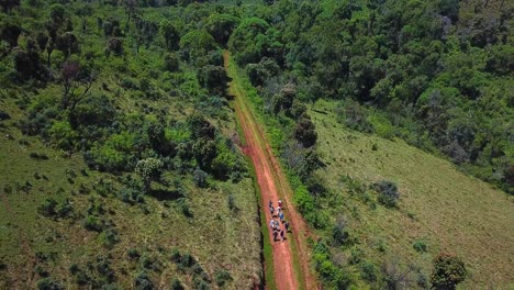 mountaineers on steep trails at mount elgon trek in kenya, east africa