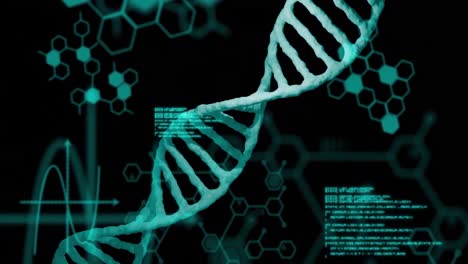 animation of dna strand and data processing on black background