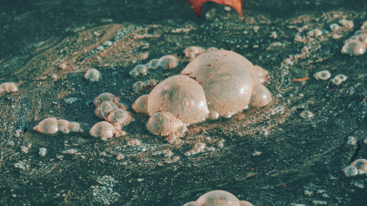 Close up shot of contaminated seawater with clusters of foam and oily bubbles drifting across the surface