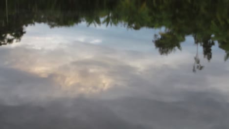 close up of calm lake water with reflection of the sky and nature