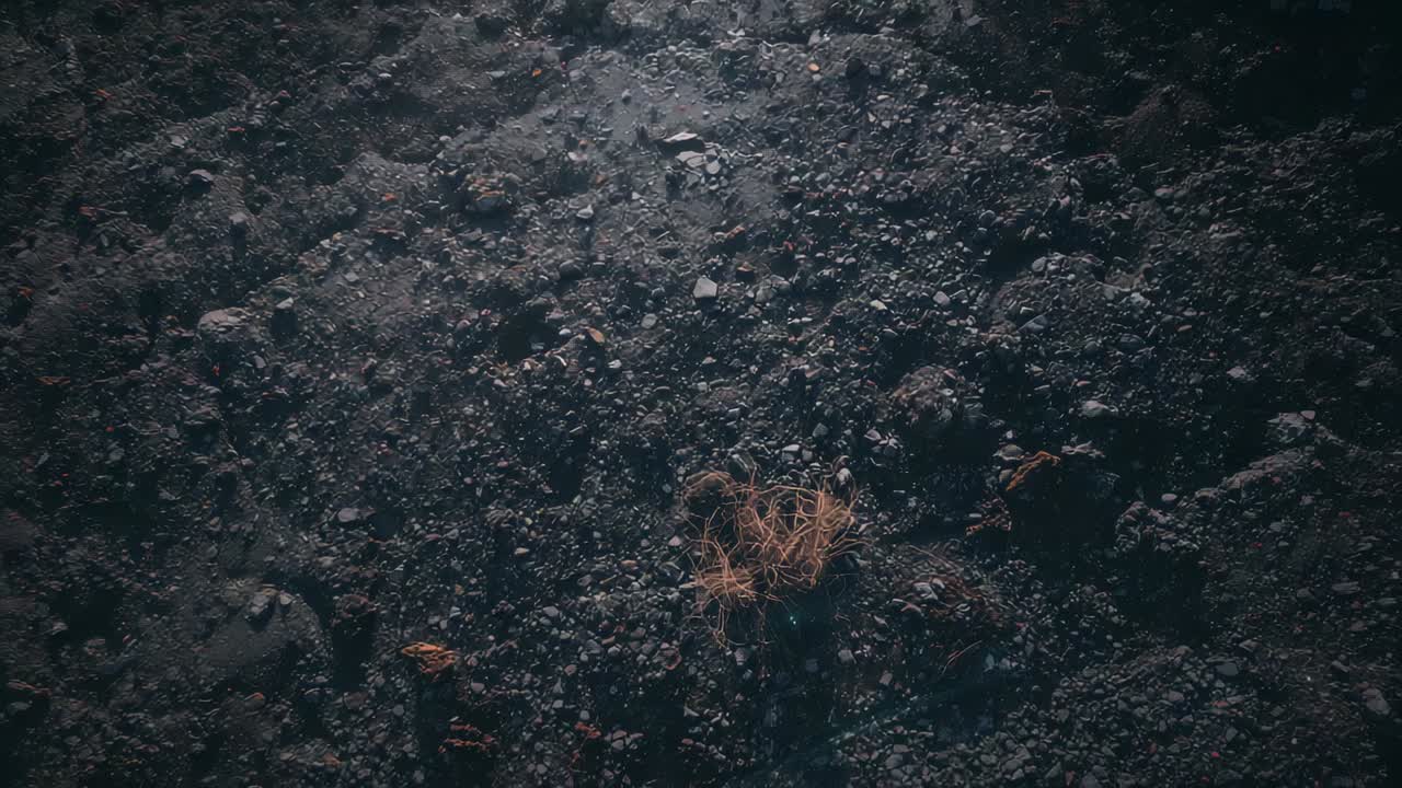 Panning camera revealing dried grass tuft at lower center on rocky ground, showing shadowed rock