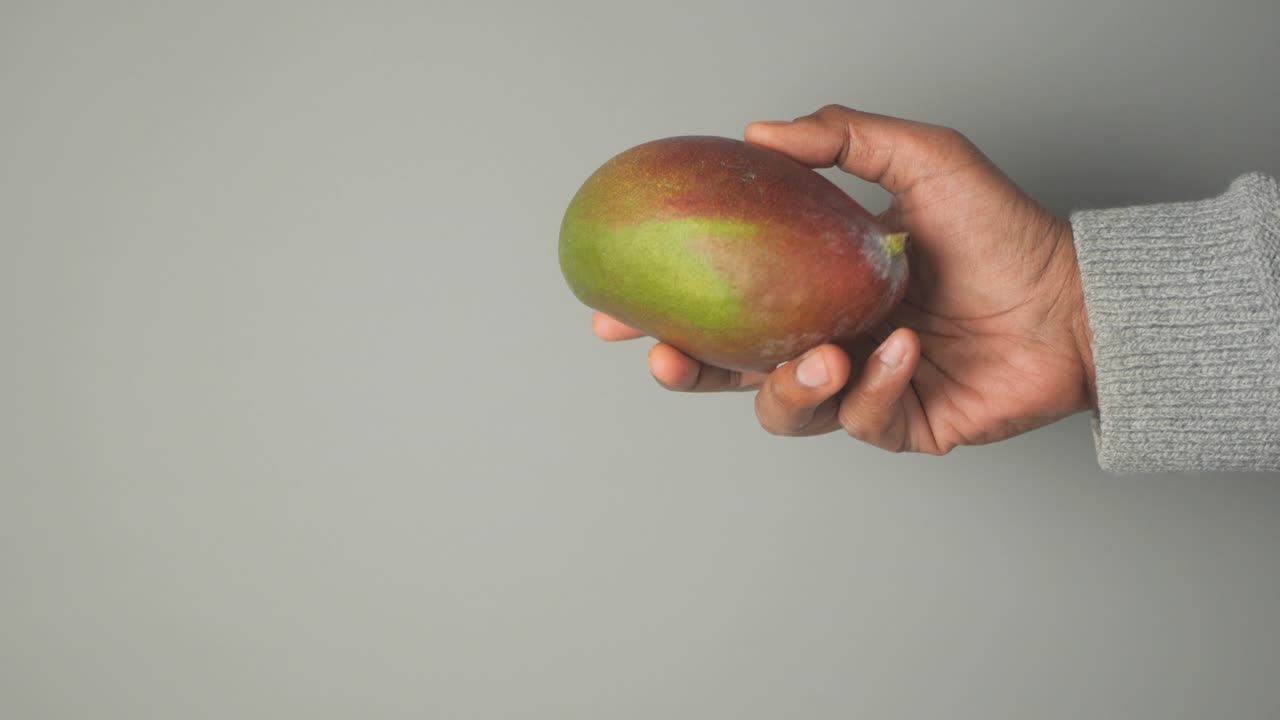 Hand Holding a Mango