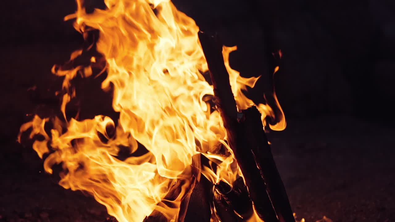 Bonfire in the night forest. Burning Wood. Slow motion