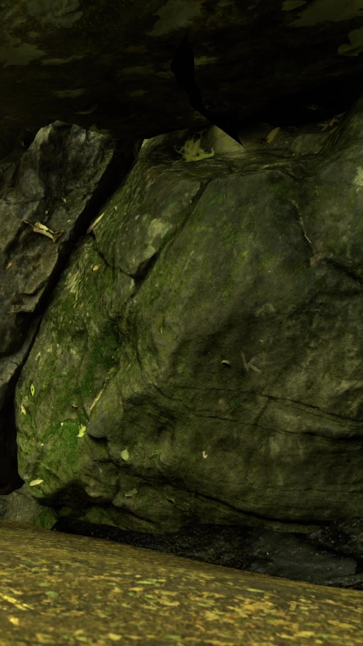 Esplorare un'area rocciosa con muschio verde e texture ruvide in un sito naturale