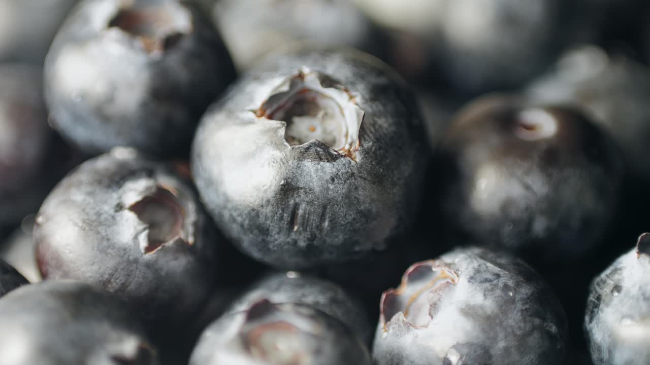 Blueberry berry background, Macro Water drops on ripe blueberries.