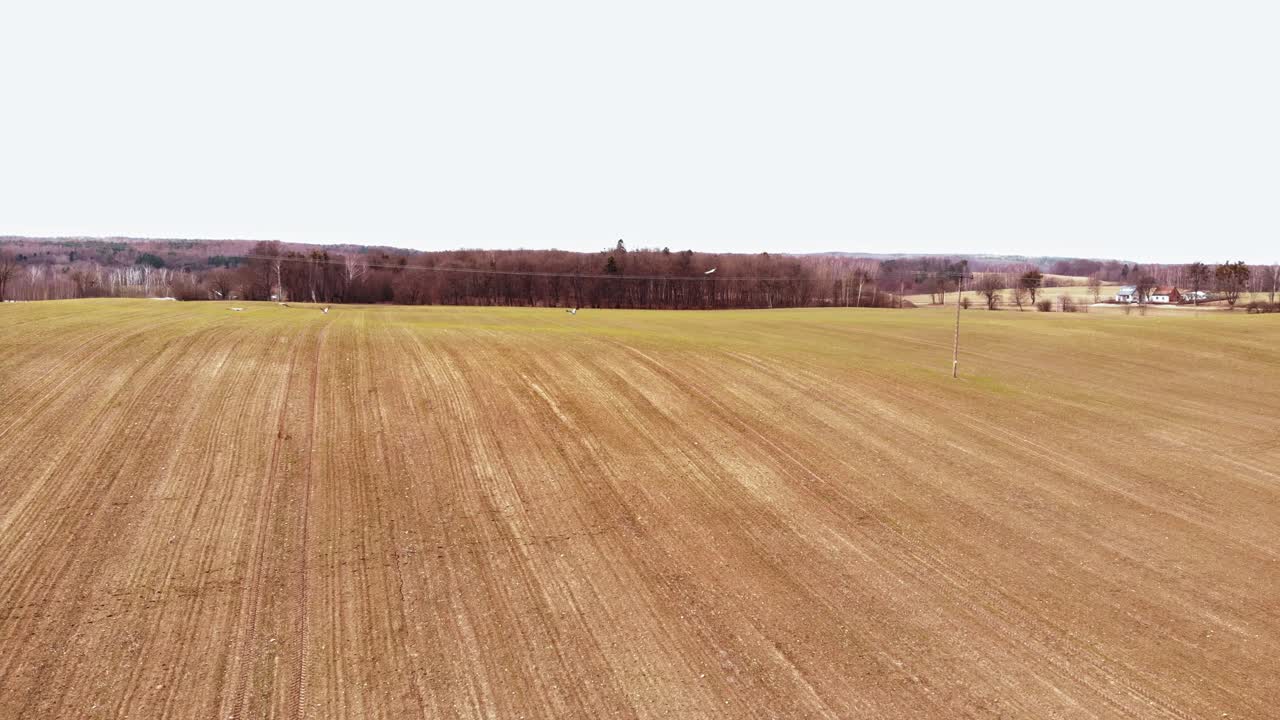 Kulturlandschaft im Dorf Buszkowy Górne im Landkreis Danzig, Polen