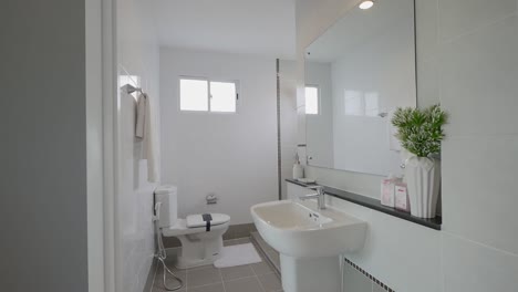 modern and stylish clean bathroom and toilet decoration with the beautiful item