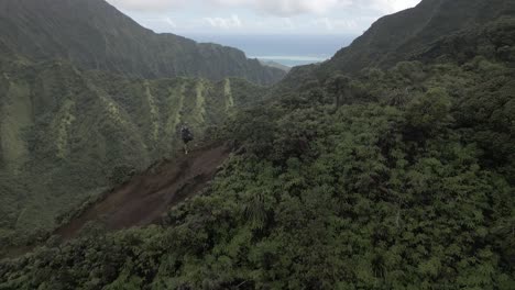 flyover: male tourist enjoys view from mountain ridge trail on hawaii