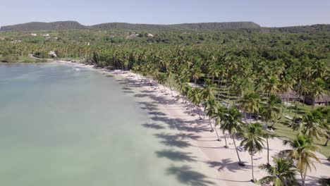 asserradero samana dominican republic stunning white sand beach with long palm tree shadows on clear water, aerial