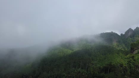 Drohnenvideo-Vom-Regenwald-Im-Nebel