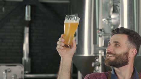 young brewer wearing a leather apron is tasting beer at a modern brewery