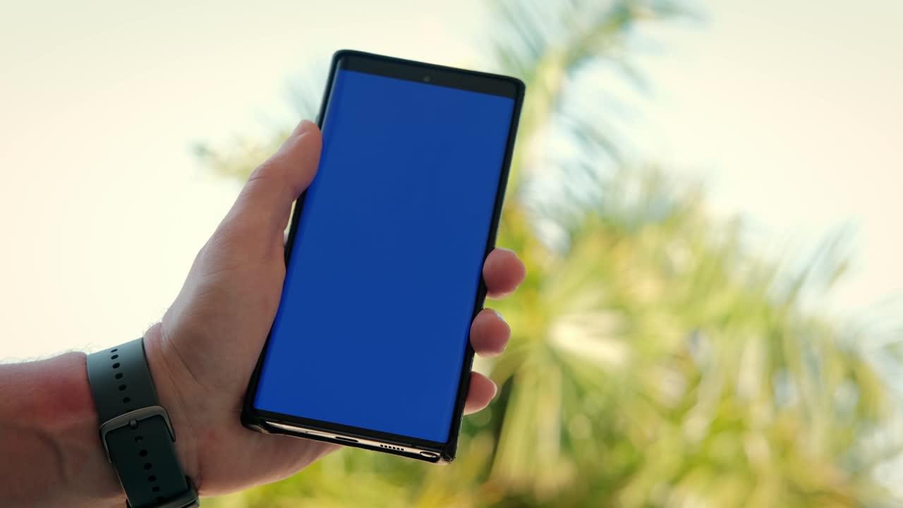 en la mano del teléfono de primer plano de fondo de palmera verde. la pantalla del teléfono es de clave de croma azul. de primer plano
