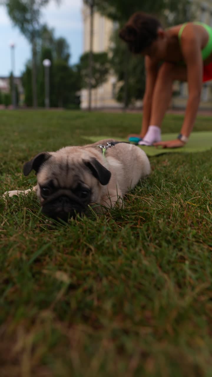 Woman practicing yoga outdoors with a dog in the park