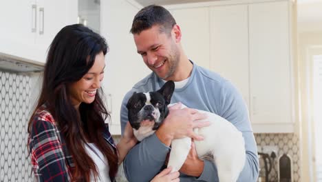 con una pareja de perros pug de pie en la cocina 4k