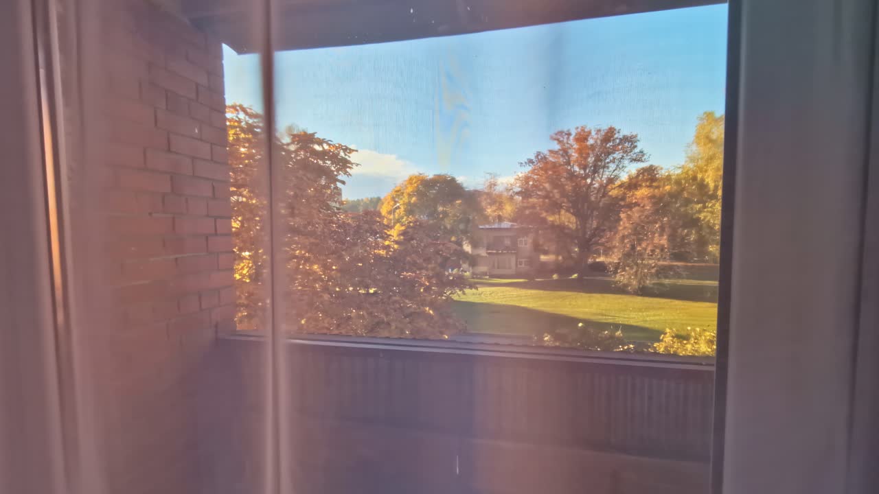 Autumn trees displaying colorful foliage viewed through a residential window with curtains