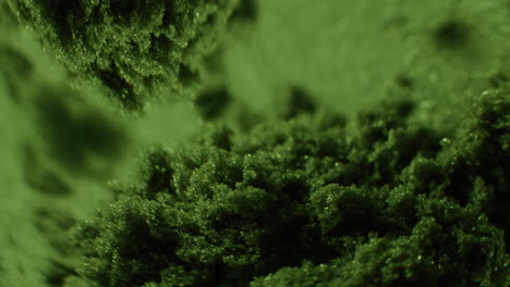green abstract texture