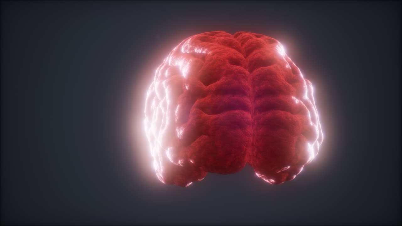 인간 뇌를 회전시키는 루프 애니메이션