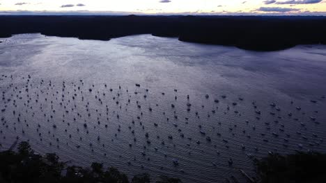 Avalon---Sailing-Club-Sunset