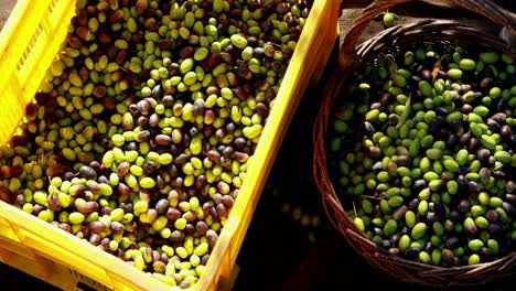 primer plano de aceitunas frescas en canasta y caja 4k