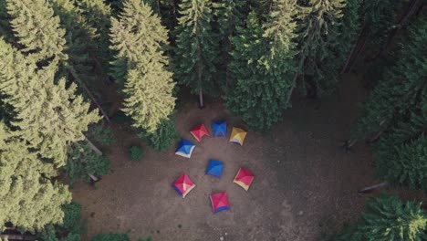 colorful camping tents in a forest