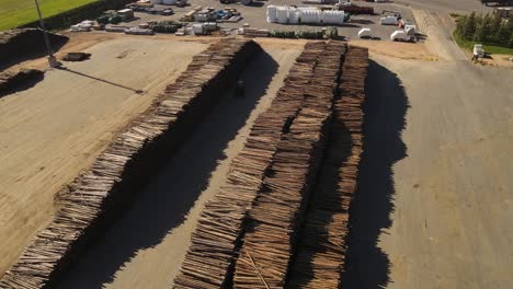 Stapel-Von-Baumstämmen-In-Der-Papierfabrik,-Fray-Bentos-In-Uruguay